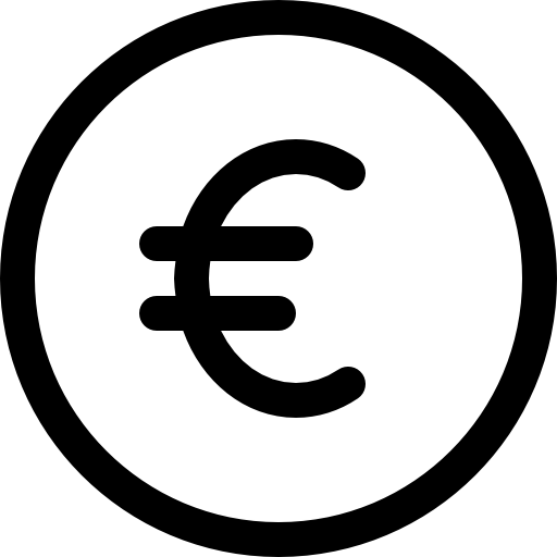 Euro icon