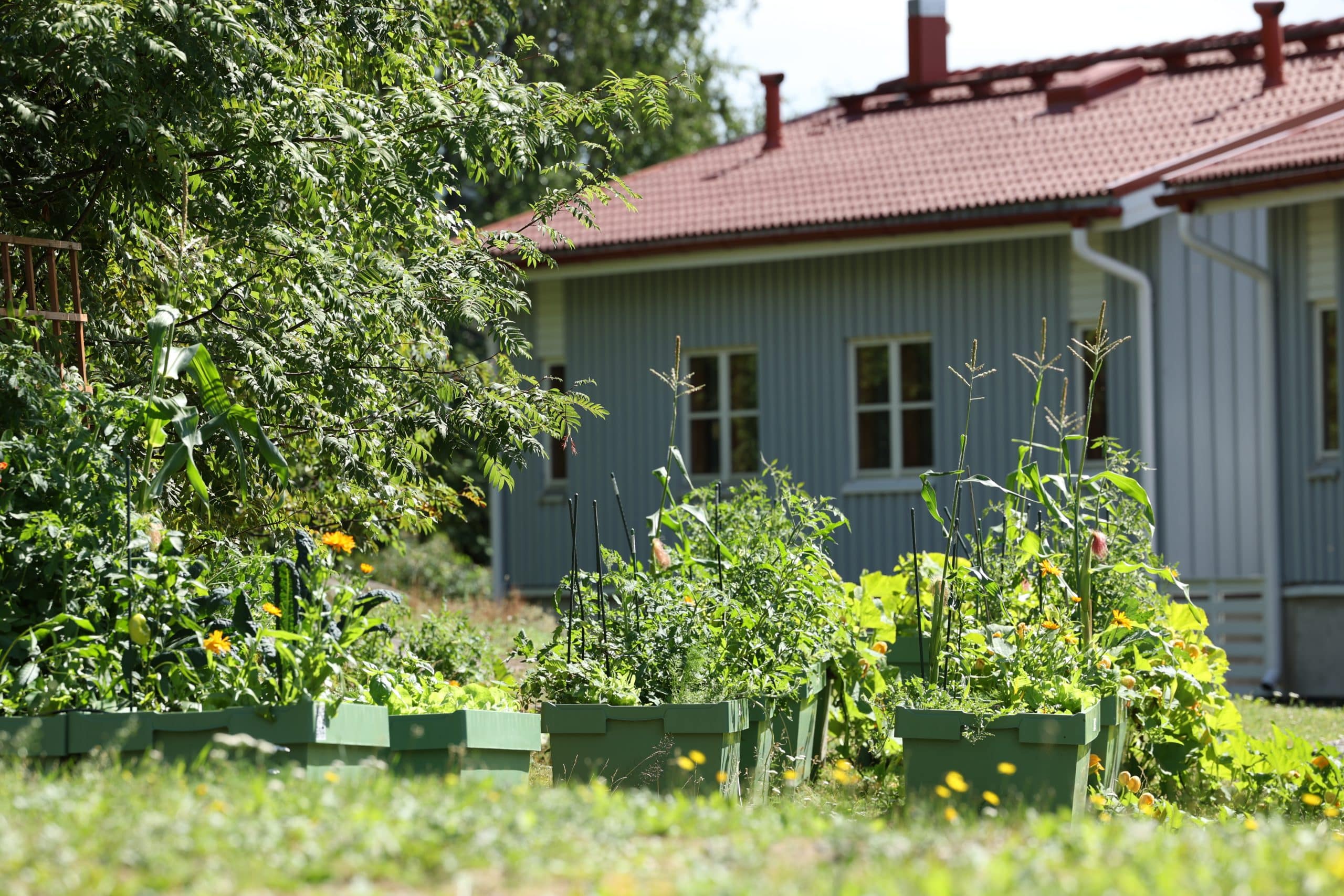 Yhdessä kohti kestävämpiä ympäristöjä