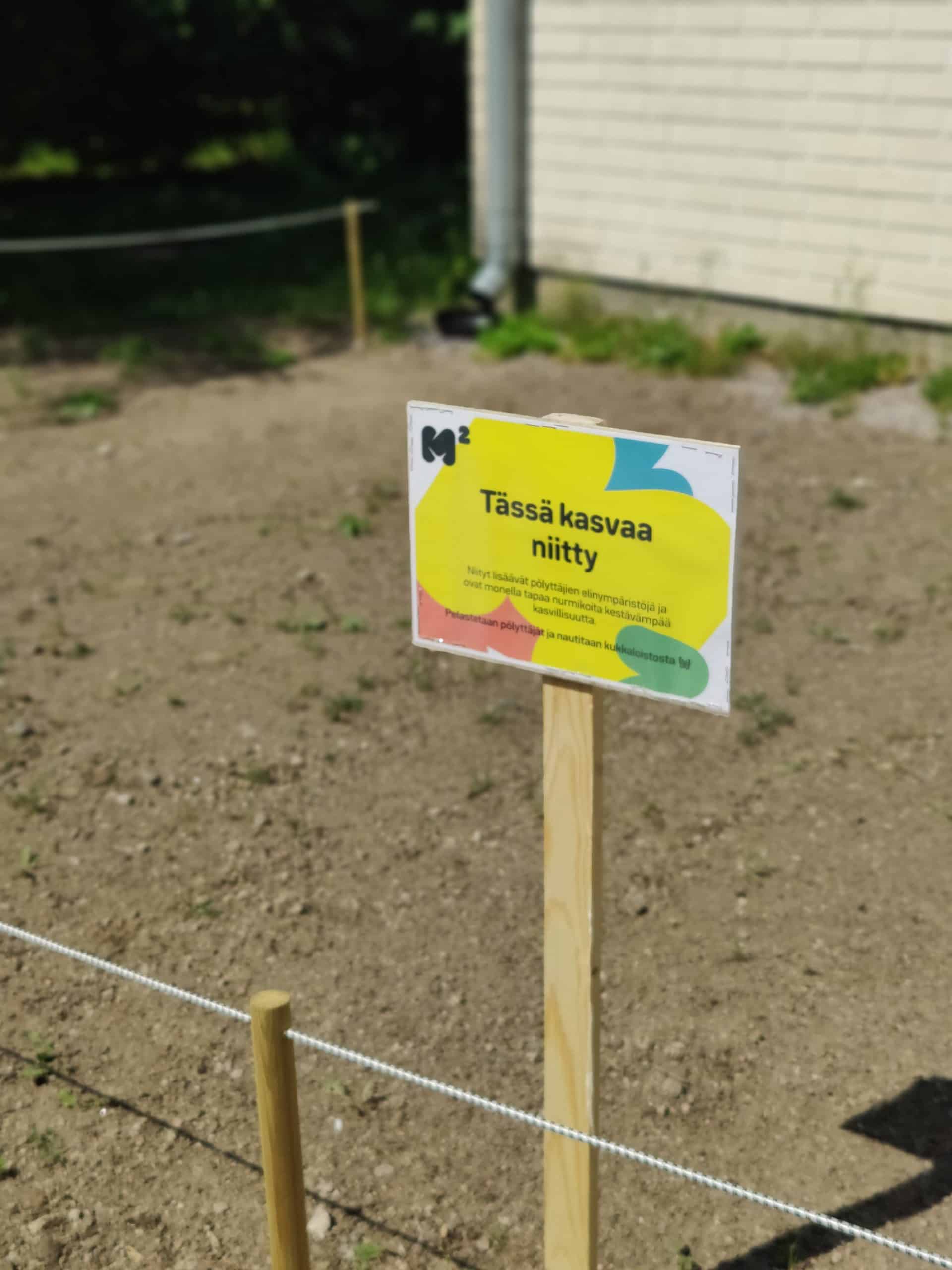 Niityt ja pölyttäjät rikastuttavat pihojamme