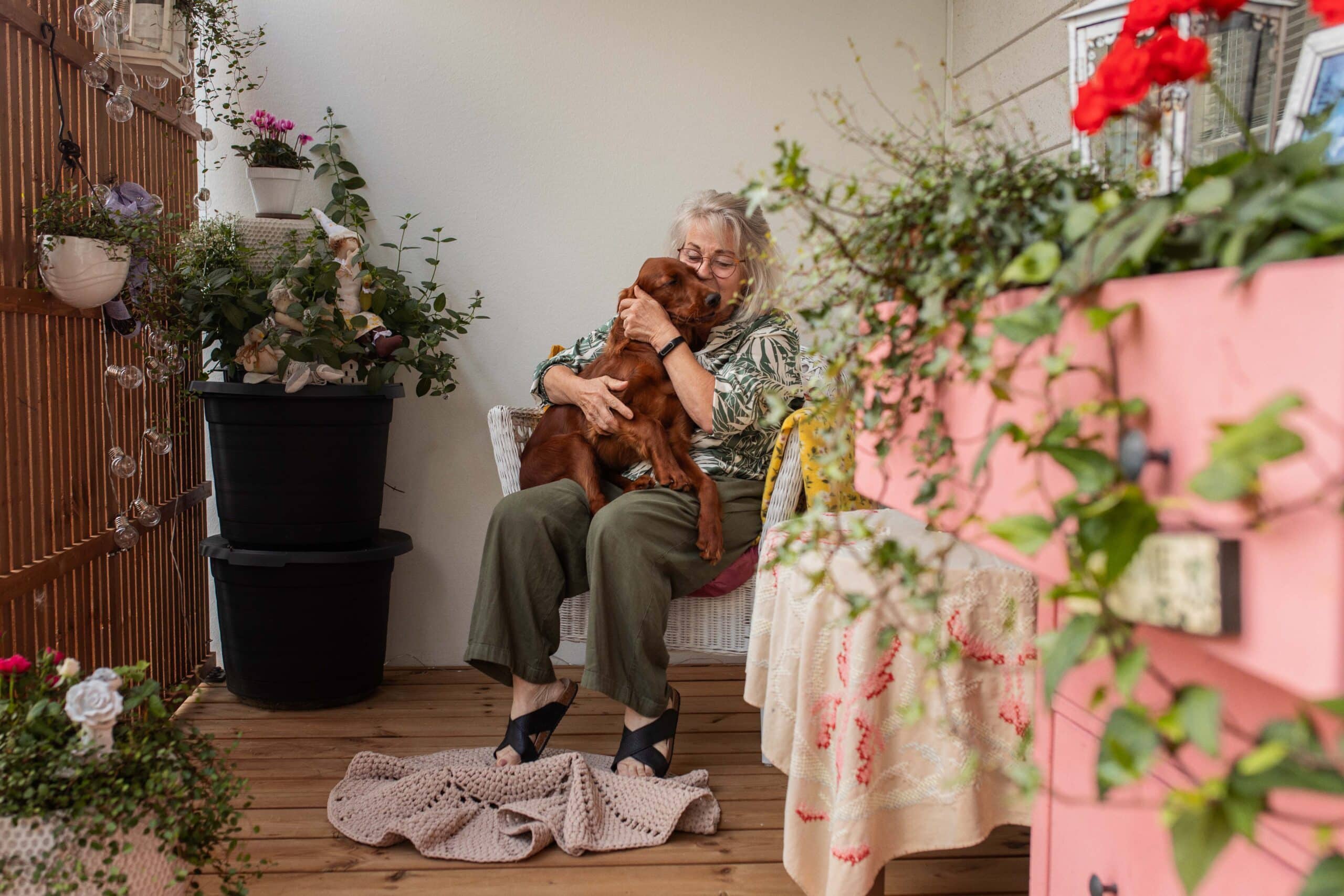 Lemmikit tervetulleita M2-Kodeille.